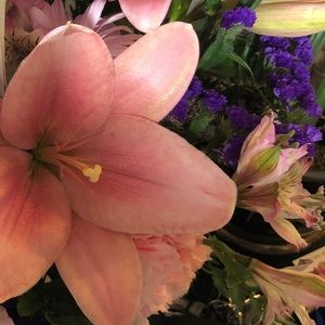 Meet your Posher, Bree